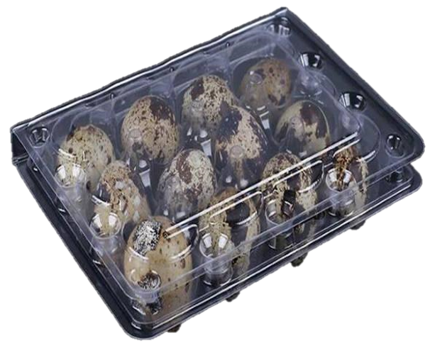 burbumoldes-blister-clamshell